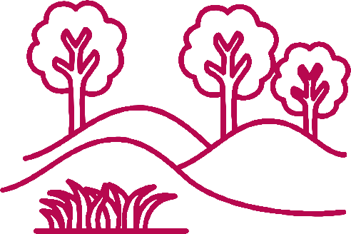 Yoga Teacher Training in Rishikesh India