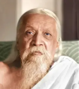 Yoga Teacher Training in Rishikesh India